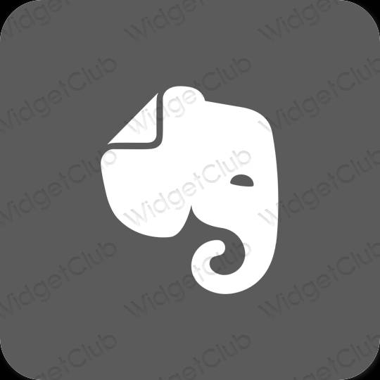 Естетичен сиво Evernote икони на приложения