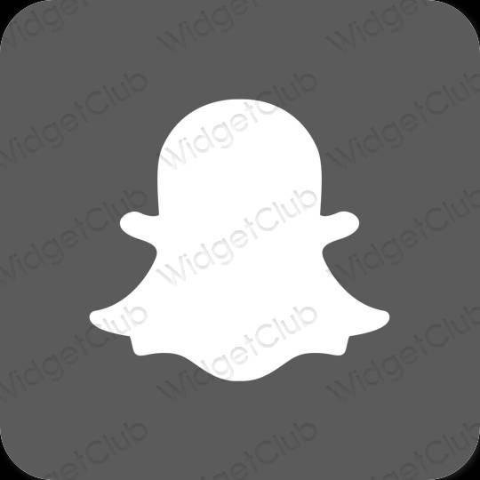 эстетический серый snapchat значки приложений