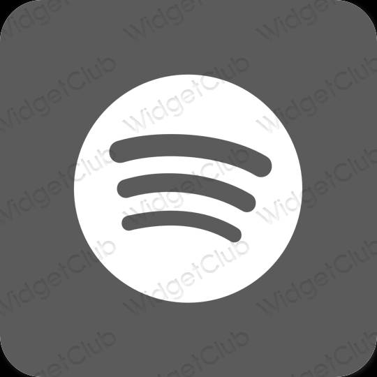 Estetico grigio Spotify icone dell'app