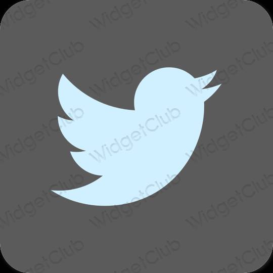 Estetsko siva Twitter ikone aplikacij