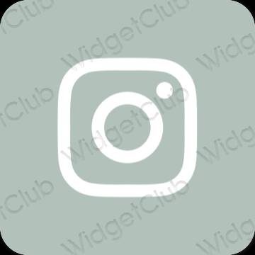 Esteetiline roheline Instagram rakenduste ikoonid