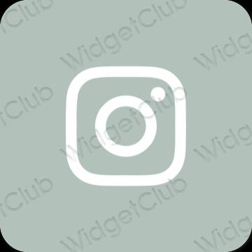 Esteetiline roheline Instagram rakenduste ikoonid