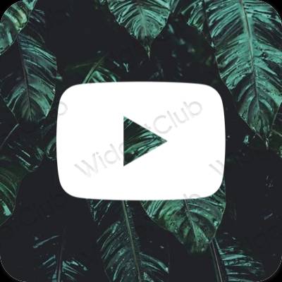 Aesthetic Youtube app icons