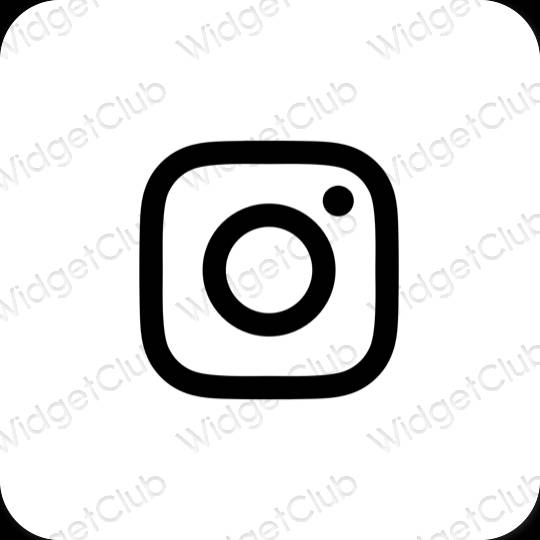 Esthetische Instagram app-pictogrammen