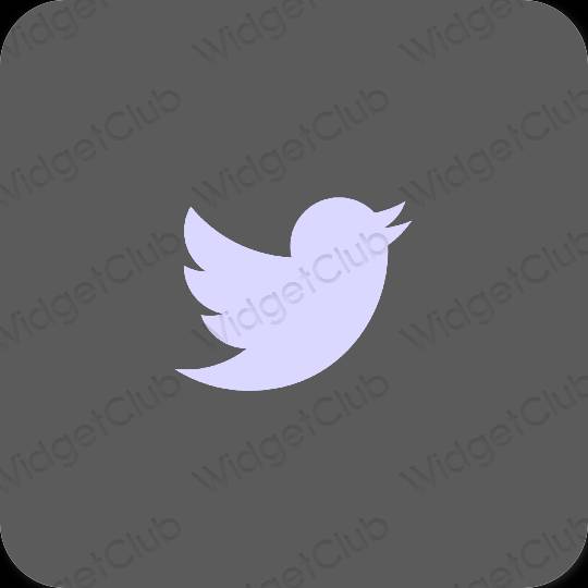 Естетски сива Twitter иконе апликација