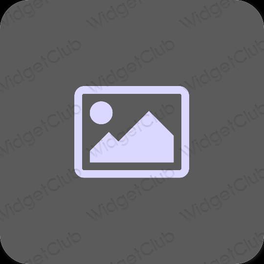 Estetsko siva Photos ikone aplikacij