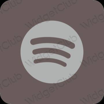 Icônes d'application Spotify esthétiques