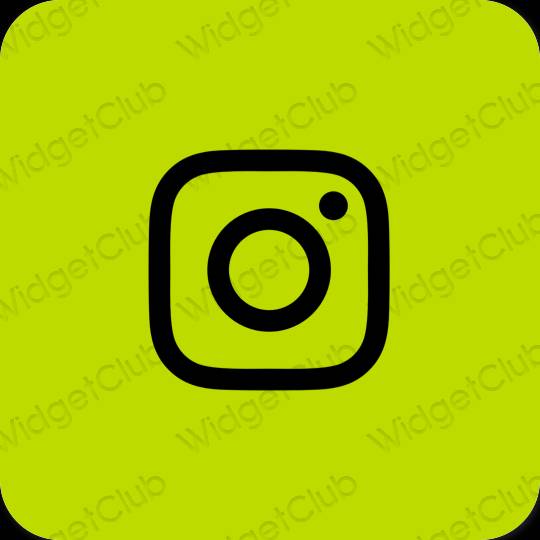 Stijlvol groente Instagram app-pictogrammen
