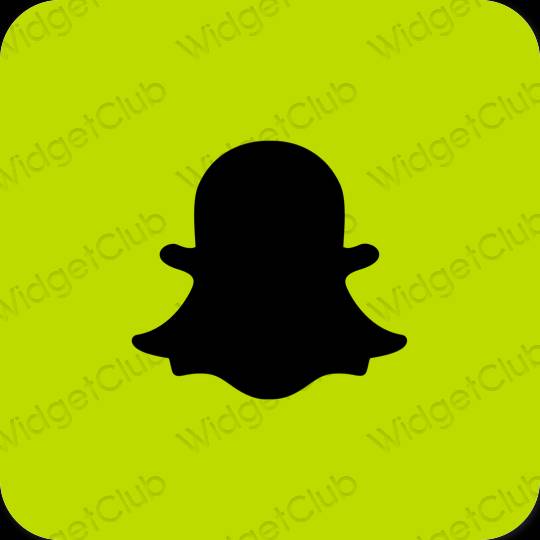 Estetsko zelena snapchat ikone aplikacij