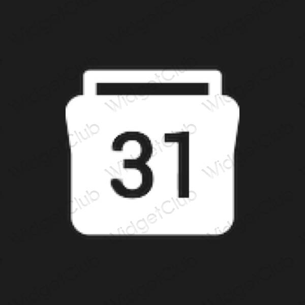 Ästhetische Calendar App-Symbole