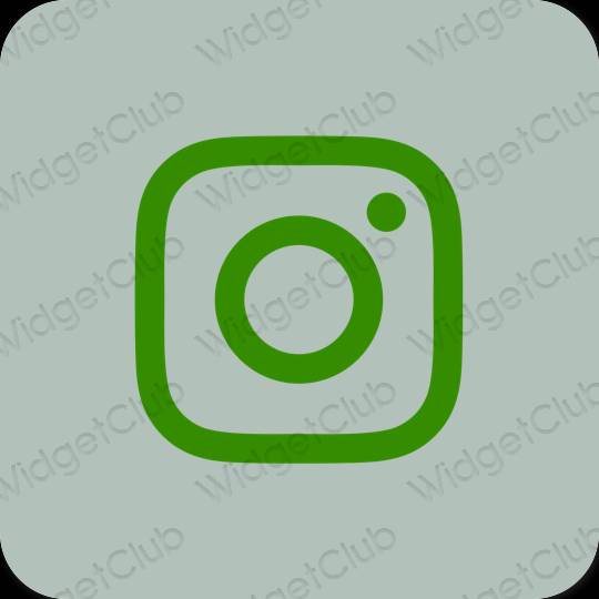 Ესთეტიური მწვანე Instagram აპლიკაციის ხატები