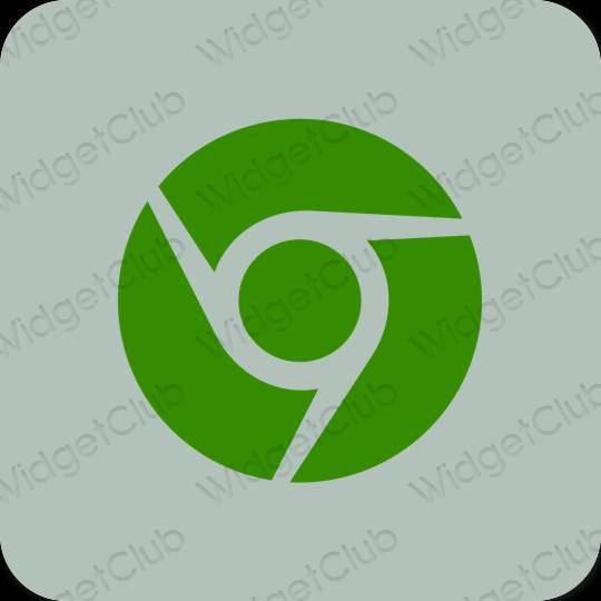 Estetic verde Chrome pictogramele aplicației