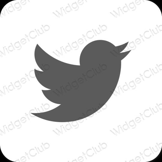 Icônes d'application Twitter esthétiques