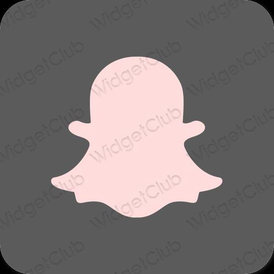 Estético cinzento snapchat ícones de aplicativos