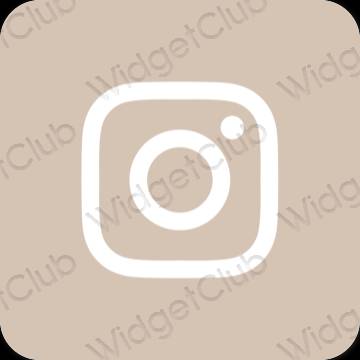 រូបតំណាងកម្មវិធី Instagram សោភ័ណភាព