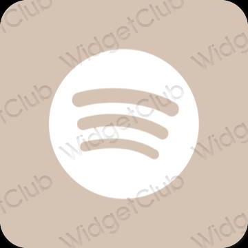 Aesthetic Spotify app icons