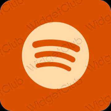 Esthetische Spotify app-pictogrammen