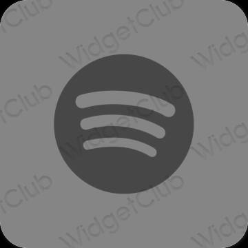 Esthetische Spotify app-pictogrammen