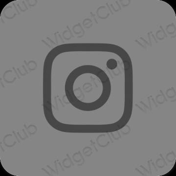 រូបតំណាងកម្មវិធី Instagram សោភ័ណភាព