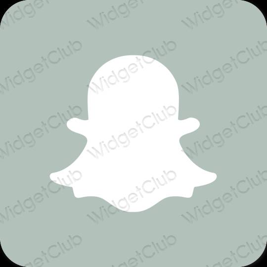 Estética snapchat iconos de aplicaciones