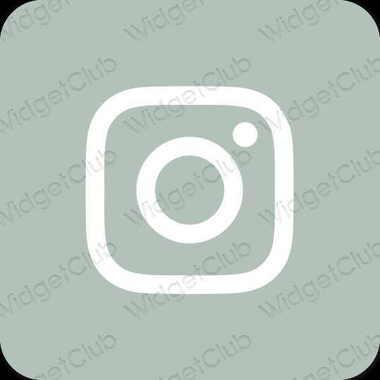 جمالي لون أخضر Instagram أيقونات التطبيق