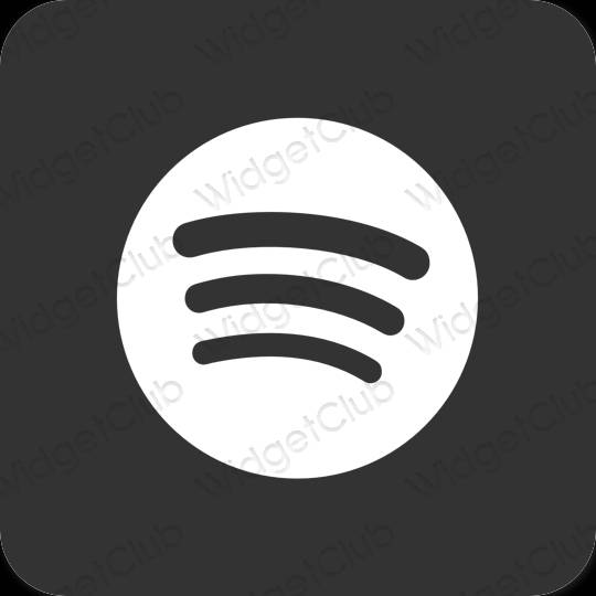 Esthetische Spotify app-pictogrammen