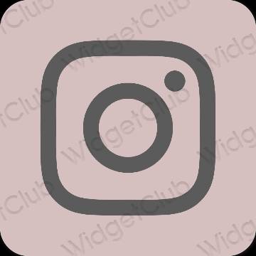 សោភ័ណ ពណ៌ផ្កាឈូក Instagram រូបតំណាងកម្មវិធី