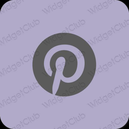 审美的 紫色的 Pinterest 应用程序图标