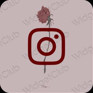 Ikon aplikasi estetika Instagram