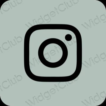Estetyka Zielony Instagram ikony aplikacji