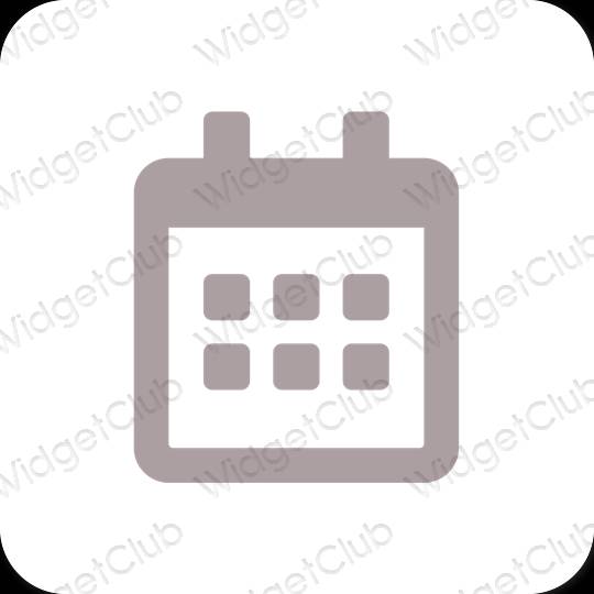 Icônes d'application Calendar esthétiques