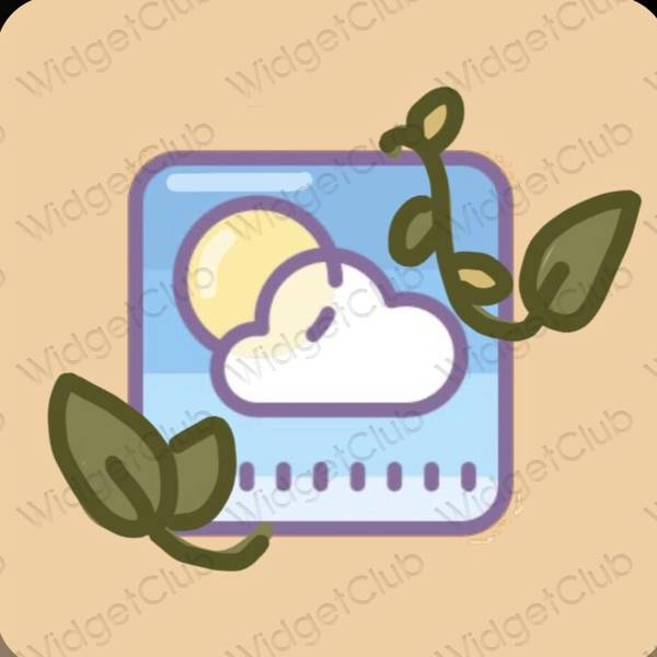 Æstetiske Weather app-ikoner