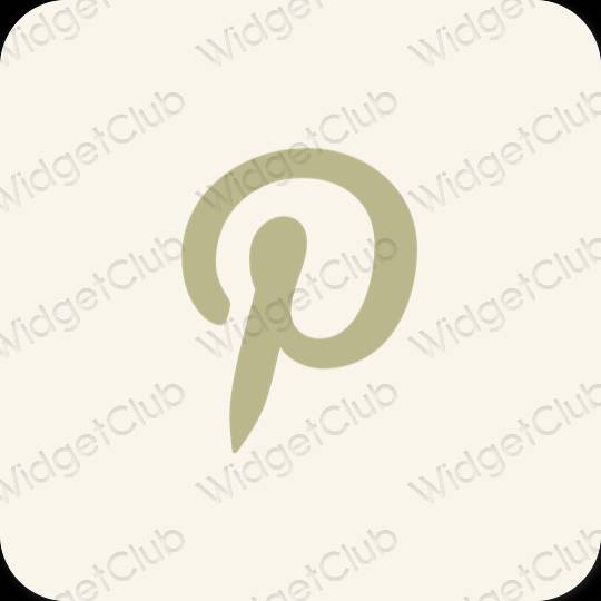 审美的 浅褐色的 Pinterest 应用程序图标