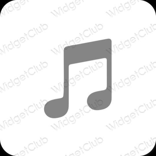 Esthetische Apple Music app-pictogrammen