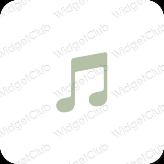 Esthetische Apple Music app-pictogrammen