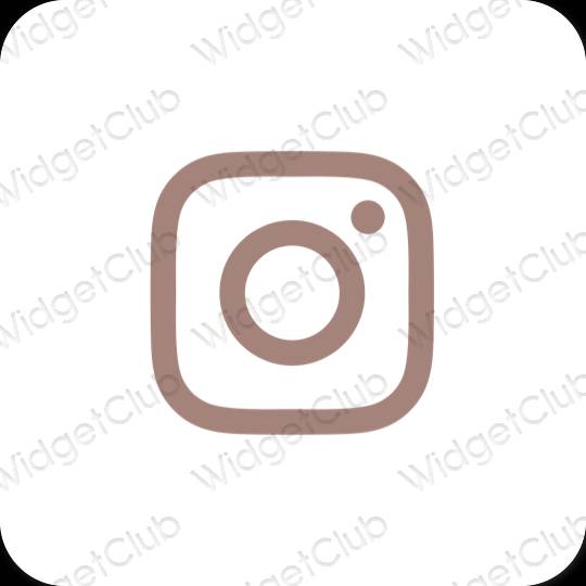 រូបតំណាងកម្មវិធី Instagram សោភ័ណភាព