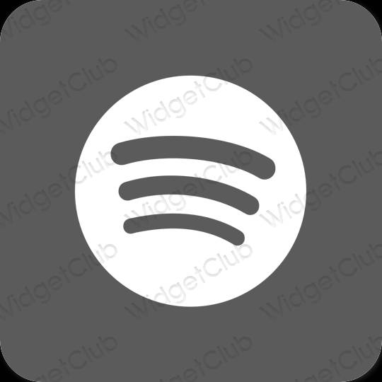 Æstetisk grå Spotify app ikoner