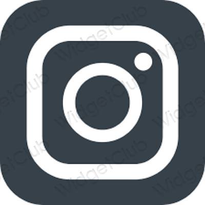 រូបតំណាងកម្មវិធី Instagram សោភ័ណភាព