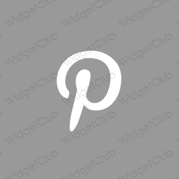 Stijlvol grijs Pinterest app-pictogrammen