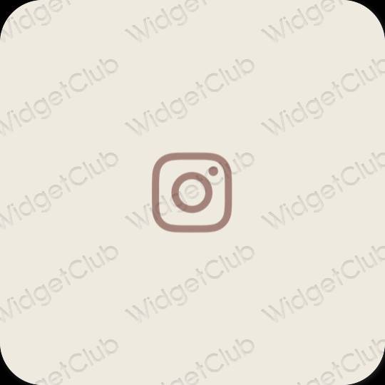 រូបតំណាងកម្មវិធី Instagram សោភ័ណភាព