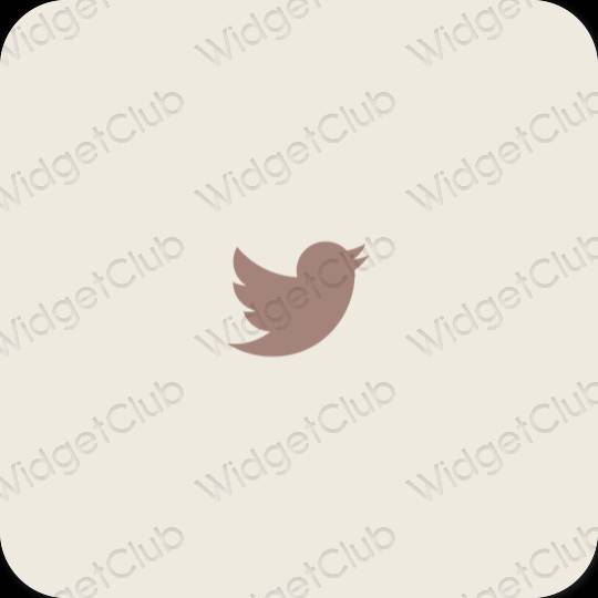 Aesthetic Twitter app icons