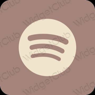 Естетичен кафяво Spotify икони на приложения