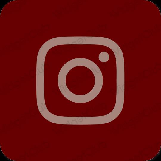 Estetinis rudas Instagram programėlių piktogramos
