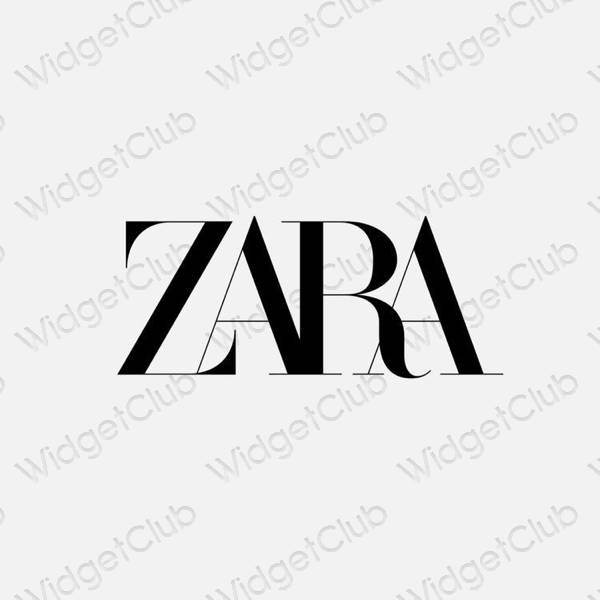 Aesthetic gray ZARA app icons