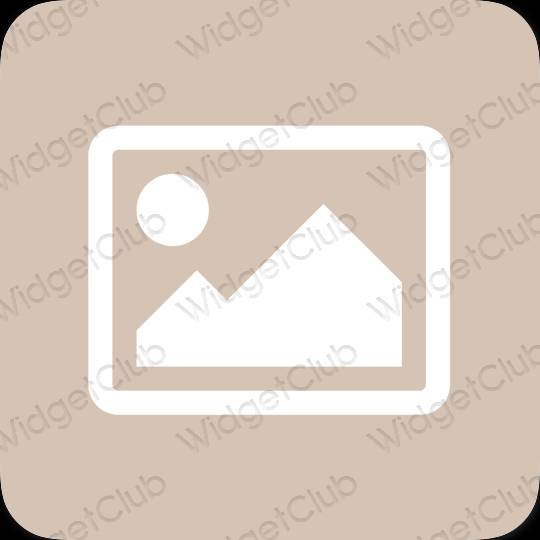 Aesthetic beige Photos app icons