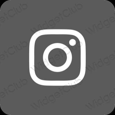 រូបតំណាងកម្មវិធី Instagram សោភ័ណភាព