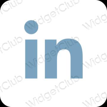 Aesthetic Linkedin app icons