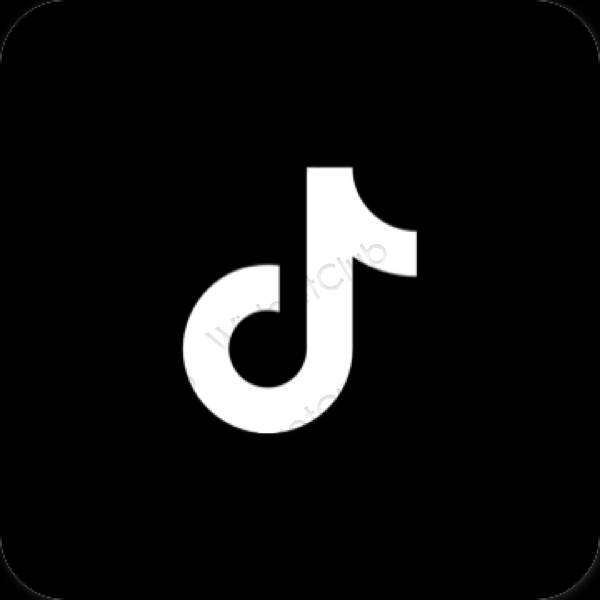 미적 TikTok 앱 아이콘