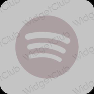 សោភ័ណ ប្រផេះ Spotify រូបតំណាងកម្មវិធី