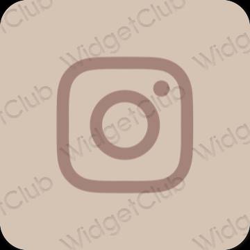 រូបតំណាងកម្មវិធី Instagram សោភ័ណភាព